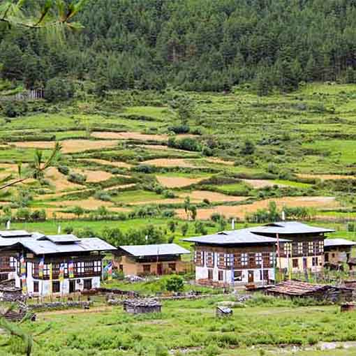 Rural Dwelling Insurance
